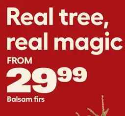 RONA Real tree, real magic offer