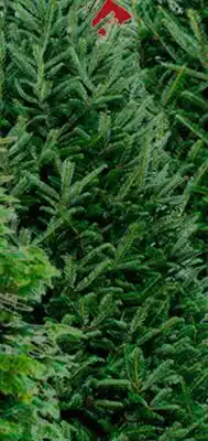 RONA 6' to 8' Select offer