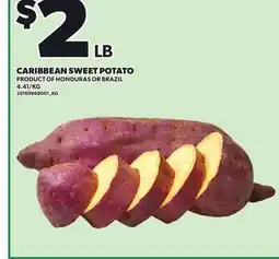 Loblaws CARIBBEAN SWEET POTATO offer