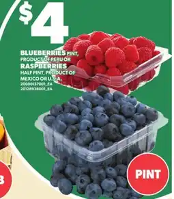 Loblaws BLUEBERRIES, RASPBERRIES, PINT offer