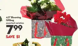 Longo's 4.5 Blooming Giftbag offer