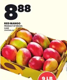 Loblaws RED MANGO, CASE offer