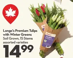 Longo's Premium Tulips with Winter Greens offer