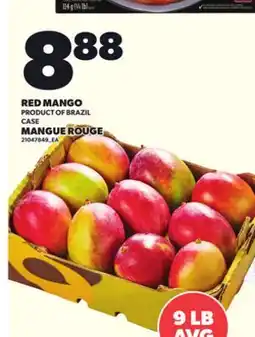 Independent Grocer RED MANGO, 9 LB AVG offer