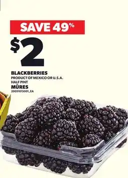 Independent Grocer BLACKBERRIES, HALF PINT offer