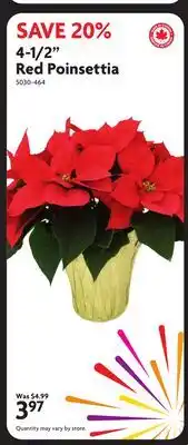 Home Hardware 4-1/2 Red Poinsettia offer