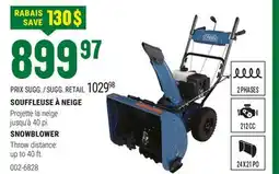 BMR SOUFFLEUSE À NEIGE offer