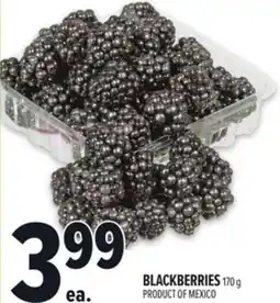 Metro BLACKBERRIES offer