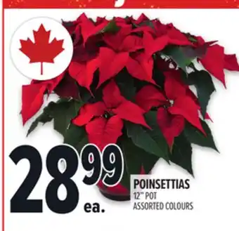 Metro POINSETTIAS offer