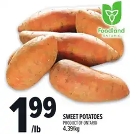 Metro SWEET POTATOES offer