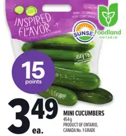 Metro SUNSET MINI CUCUMBERS offer
