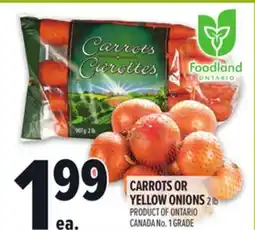 Metro CARROTS OR YELLOW ONIONS offer