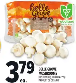 Metro BELLE GROVE MUSHROOMS offer