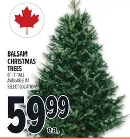 Metro BALSAM CHRISTMAS TREES offer