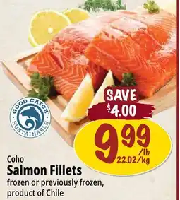 Farm Boy Salmon Fillets offer