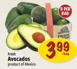 Farm Boy Fresh Avocados offer