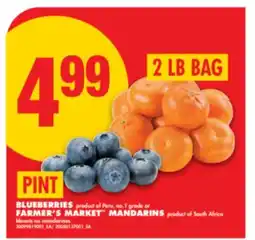 No Frills BLUEBERRIES, PINT OR FARMER'S MARKET MANDARINS, 2 LB BAG offer