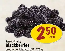 Farm Boy Sweet & Juicy Blackberries offer
