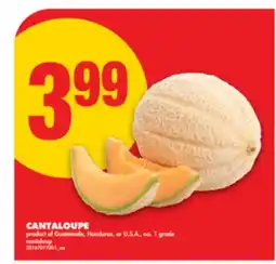 No Frills CANTALOUPE offer