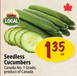 Farm Boy Seedless Cucumbers offer