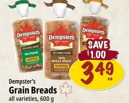 Farm Boy Dempster's Grain Breads offer