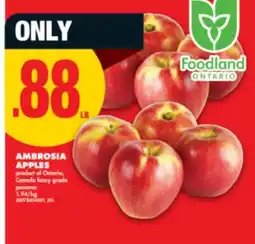 No Frills AMBROSIA APPLES offer