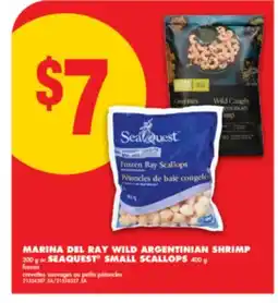 No Frills MARINA DEL RAY WILD ARGENTINIAN SHRIMP, 300 g or SEAQUEST SMALL SCALLOPS, 400 g offer