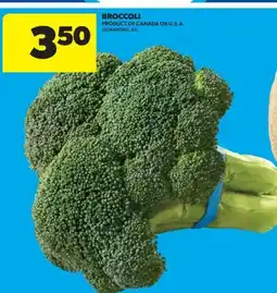 Real Canadian Superstore BROCCOLI offer