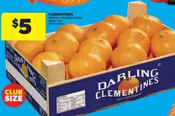 Real Canadian Superstore CLEMENTINES, 5 LB offer