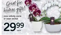 Fortinos MINI INFINITY CIRCLE OR SWAN ORCHID offer