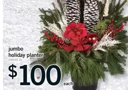 Fortinos JUMBO HOLIDAY PLANTER offer