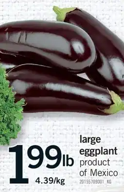 Fortinos LARGE EGGPLANT offer