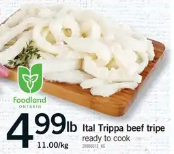 Fortinos ITAL TRIPPA BEEF TRIPE offer