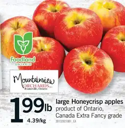 Fortinos LARGE HONEYCRISP APPLES offer