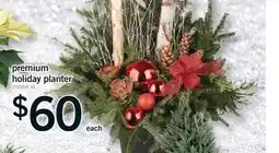 Fortinos PREMIUM HOLIDAY PLANTER offer