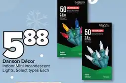 PharmaChoice Danson Décor Indoor Mini Incandescent Lights offer
