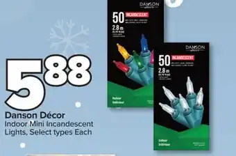 PharmaChoice Danson Décor Indoor Mini Incandescent Lights offer