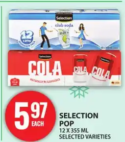Food Basics SELECTION POP offer