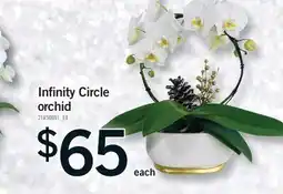 Fortinos INFINITY CIRCLE ORCHID offer
