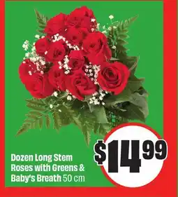 Chalo FreshCo Dozen Long Stem Roses with Greens & Baby's Breath 50 cm offer