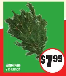 Chalo FreshCo White Pine offer