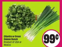 Chalo FreshCo Cilantro or Green Onions Bunch Product of USA or Mexico offer