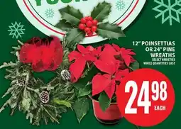 Food Basics 12 POINSETTIAS OR 24 PINE WREATHS offer