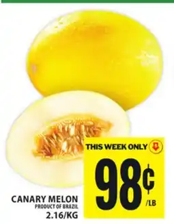 Food Basics CANARY MELON offer
