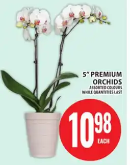 Food Basics 5 PREMIUM ORCHIDS offer