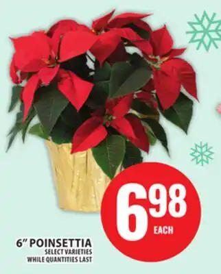 Food Basics 6 POINSETTIA offer