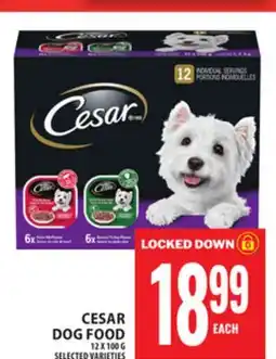 Food Basics CESAR DOG FOOD offer