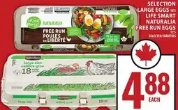 Food Basics SELECTION LARGE EGGS OR LIFE SMART NATURALIA FREE RUN EGGS offer