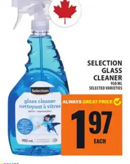 Food Basics SELECTION GLASS CLEANER offer