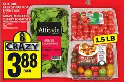 Food Basics ATTITUDE BABY SPINACH OR SPRING MIX, GRAPE, MEDLEY OR CHERRY TOMATOES offer